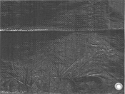 7885T25: Waterproof Tarps 16' wide x 24' long