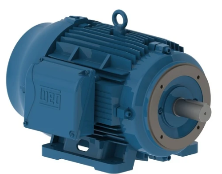 WEG 1725498349