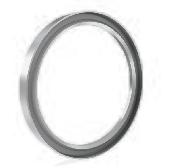 Lip Seal