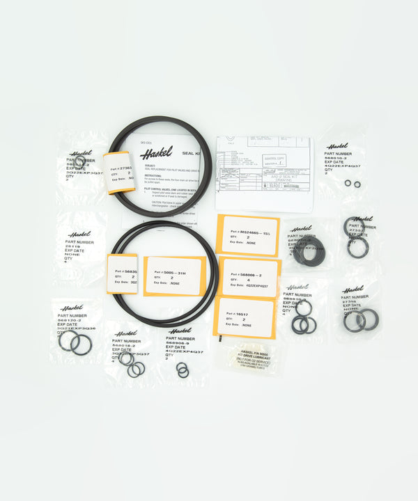 Haskel Seal Kit 27369