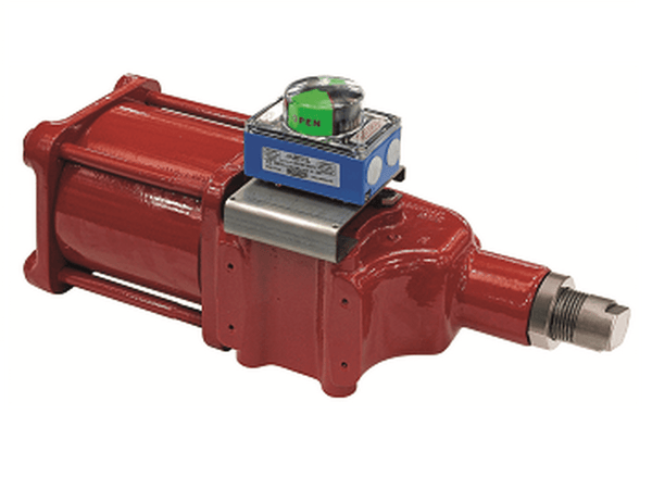PNEUMATIC ACTUATOR